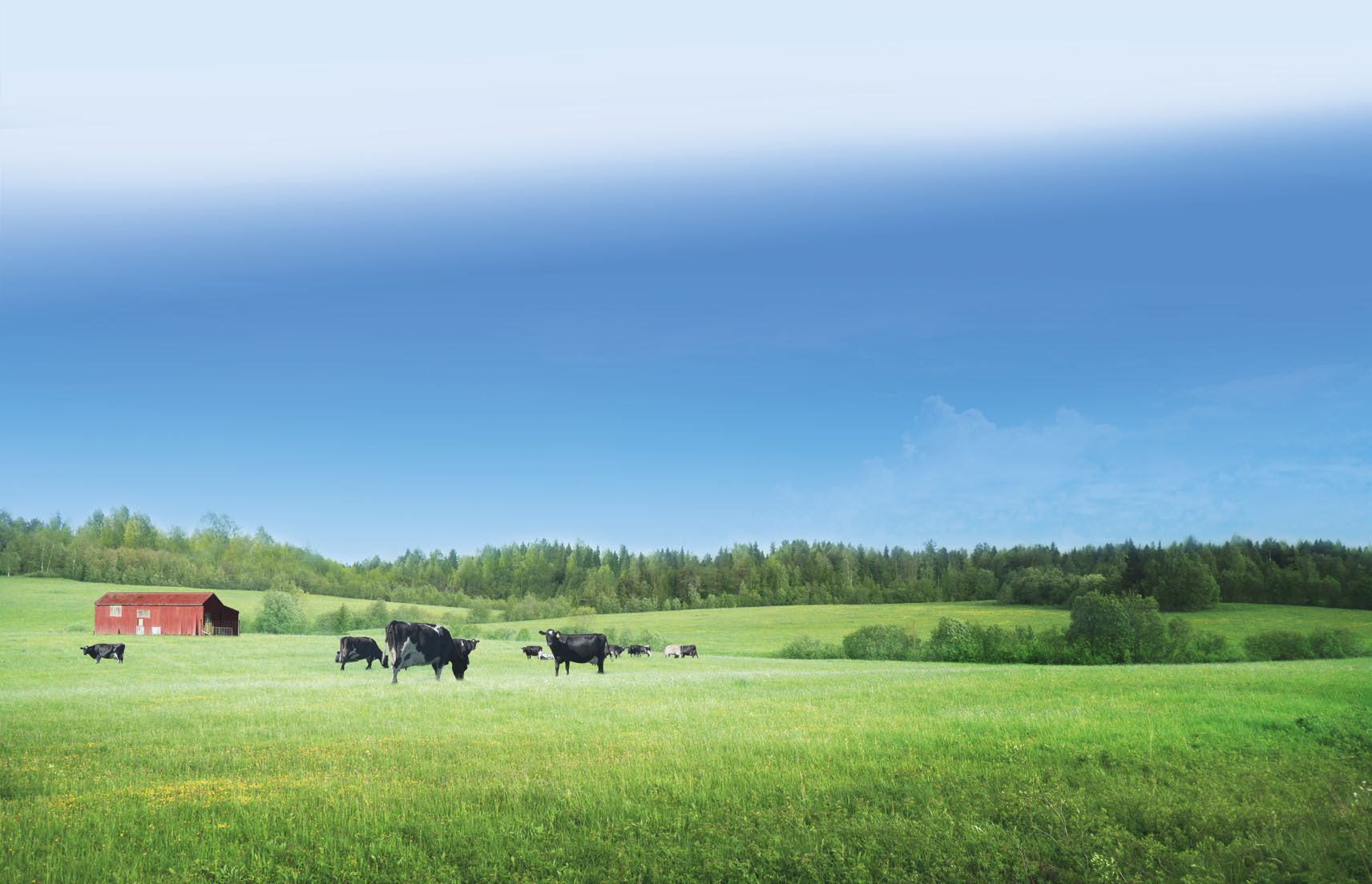 Rural Waikato landscape served by Drainage Systems
