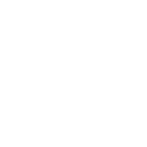 Sewer icon